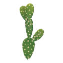 Botanical Cactus In 2-Inch X 7-Inch