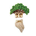 Long Beard Old Man Tree Face