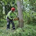 DeWALT® DCCS672X1 