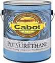 Gallon Interior Gloss Water-Borne Polyurethane