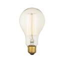 40-Watt 160-Lumen E26 Golden Light Incandescent Bulb       