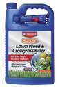 1-Gallon Ready-To-Use All-In-One Lawn Weed And Crabgrass Killer