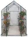 56 x 56 x 77 In Green House