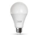 150-Watt Replacement, Daylight, Dimmable LED Bulb