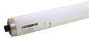 60-Watt 48-Inch Cool White Recessed Double Contact Fluorescent Light Bulb