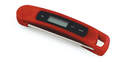 Folding Thermometer With Digital Display