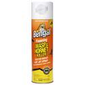 18-Ounce Foaming Wasp And Hornet Killer