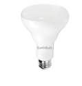 9-1/2-Watt 5000k Br30 LED Light Bulb 2-Pack