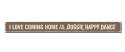 1.5 x 16-Inch Dts I Love Coming Home To The Doggie Happy Dance Skinnies Sign