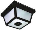 Black Motion Activated Decorative Light With Etched Glass
