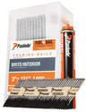3-Inch X 0.131-Inch Brite Framing Fuel And Nail Combo Pack
