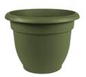 12-Inch Basil Plastic Ariana Planter