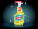 Windex 70251 