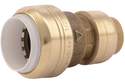 1/2 x 1/2-Inch Transition Coupling