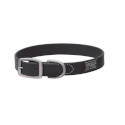 1-Inch X 17-Inch Black X-Treme Adventure Dog Collar