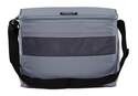 12-Can Gray Collapse And Cool Cooler Bag