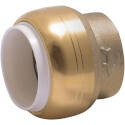1/2-Inch Brass Push-To-Connect End Stop Cap