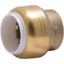 3/4-Inch Brass Push-To-Connect End Stop Cap
