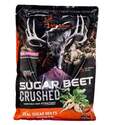 5-Pound Sugar Beet Crushed Deer Attractant 