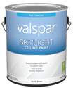 1-Gallon White Skylight Flat Interior Ceiling Paint