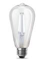 Vintage Edison 100-Watt Equivalent ST19 E26-Medium Daylight Dimmable LED Light Bulb, 2-Pack
