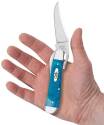 CASE 25589 