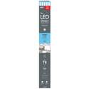 Feit Electric T848/850/LED/10 