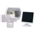 Solar Motion Sensor Light White
