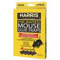 Pre-Baited Mouse Glue Trap 4-Pack