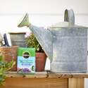 Miracle-Gro® 3369824 