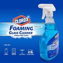 Clorox® BBP0424 