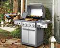 BackHome Products RV-401BBQ 