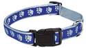 14 To 20-Inch Blue Two Tone Pawprint Collar