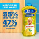 Mr. Clean® 030772112915 
