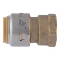 3/4-Inch X 3/4-Inch Max Brass Push Female Adapter