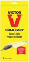 Hold-Fast Disposable Glue Trays, 2-Pack