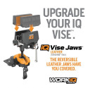 WorkIQ Tools IQVJL 