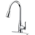 Chrome 1-Handle Pull-Down Kitchen Faucet