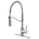 Chrome 1-Handle Pull-Down Kitchen Faucet