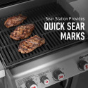 Weber® 46810001 