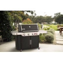 Weber® 36410001 