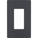 radiant® Graphite Smooth Rocker Switch Wall Plate