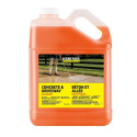 1-Gallon Concrete and Patio Cleaner, Pressure Washer Concentrate