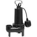 1/2hp Cast Iron Sewage Pump