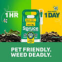 Spruce™ 810121300425 