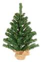 12-Inch X 7-1/2-Inch Ball And Burlap Tree