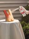 Krylon® K03806A00 