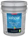 5-Gallon Eggshell White Paint And Primer