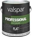 Professional Exterior Latex Paint Flat White 1 Gal