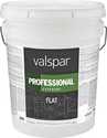 Professional Exterior Latex Paint Flat White 5 Gal